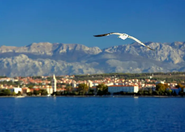 Apartmán Kuki With Balcony Zadar