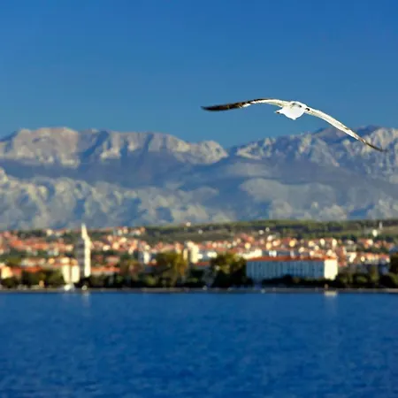Apartment Kuki With Balcony Zadar